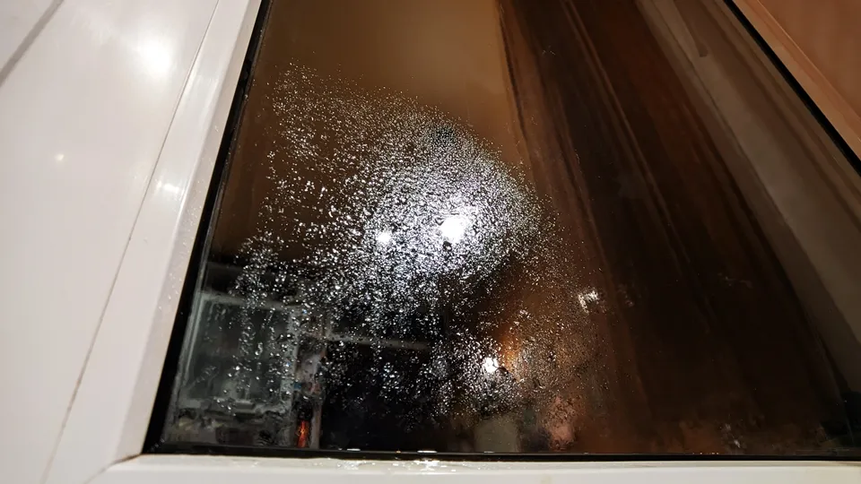 Фото: REGIONS/Алексей Селиверстов