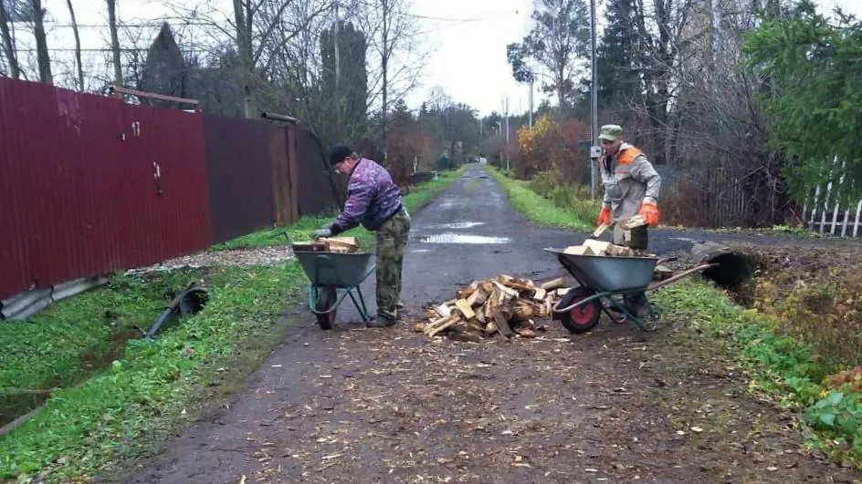 Комитет лесного хозяйства МО