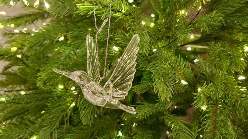 Фото: REGIONS/Юлия Габбасова