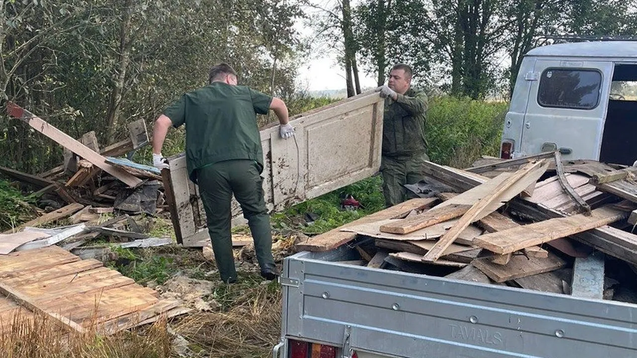 Фото: пресс-служба Комитета лесного хозяйства Московской области