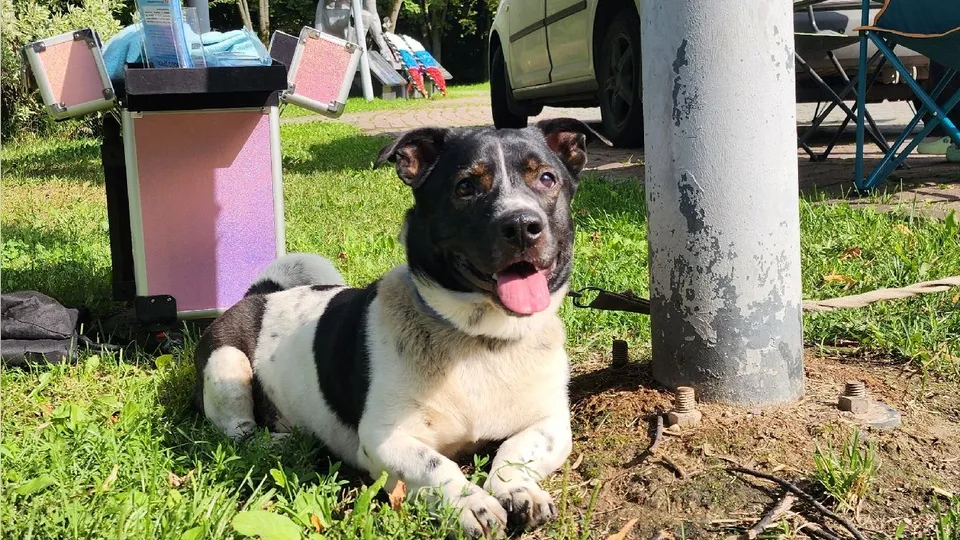 Фото: Максим Сафронов