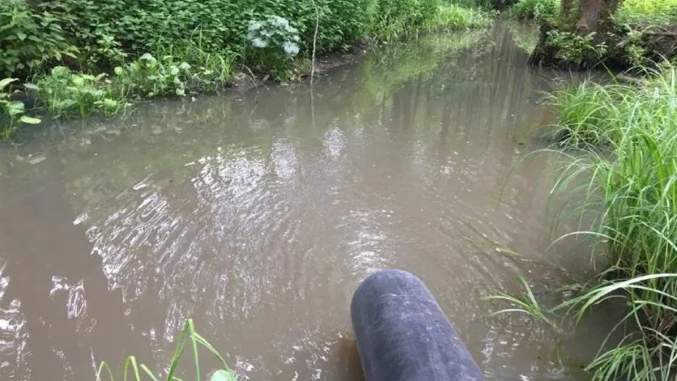 Фото: Минэкологии МО