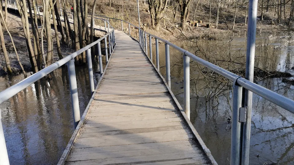 Фото: МедиаБанк Подмосковья/Галина Добрынина