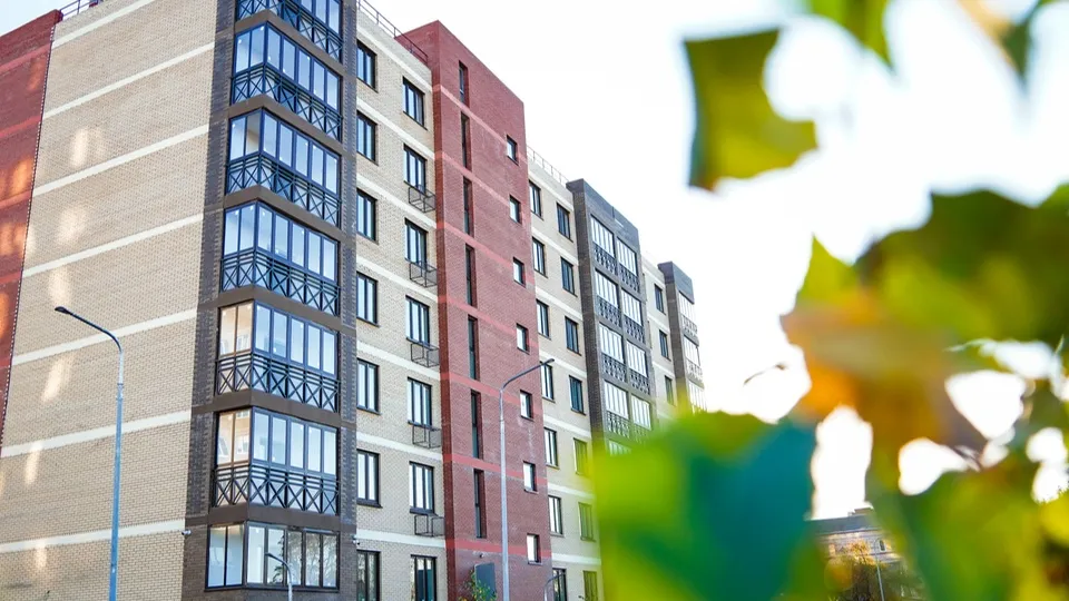 Фото: МедиаБанк Подмосковья/Даниил Коблов