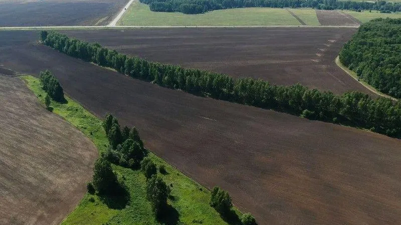 В рамках программы «Подмосковные 10 га» доступно еще 115 га земли