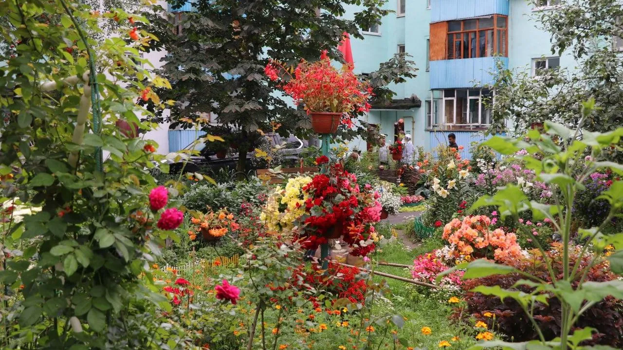 фото:администрация Краснознаменска