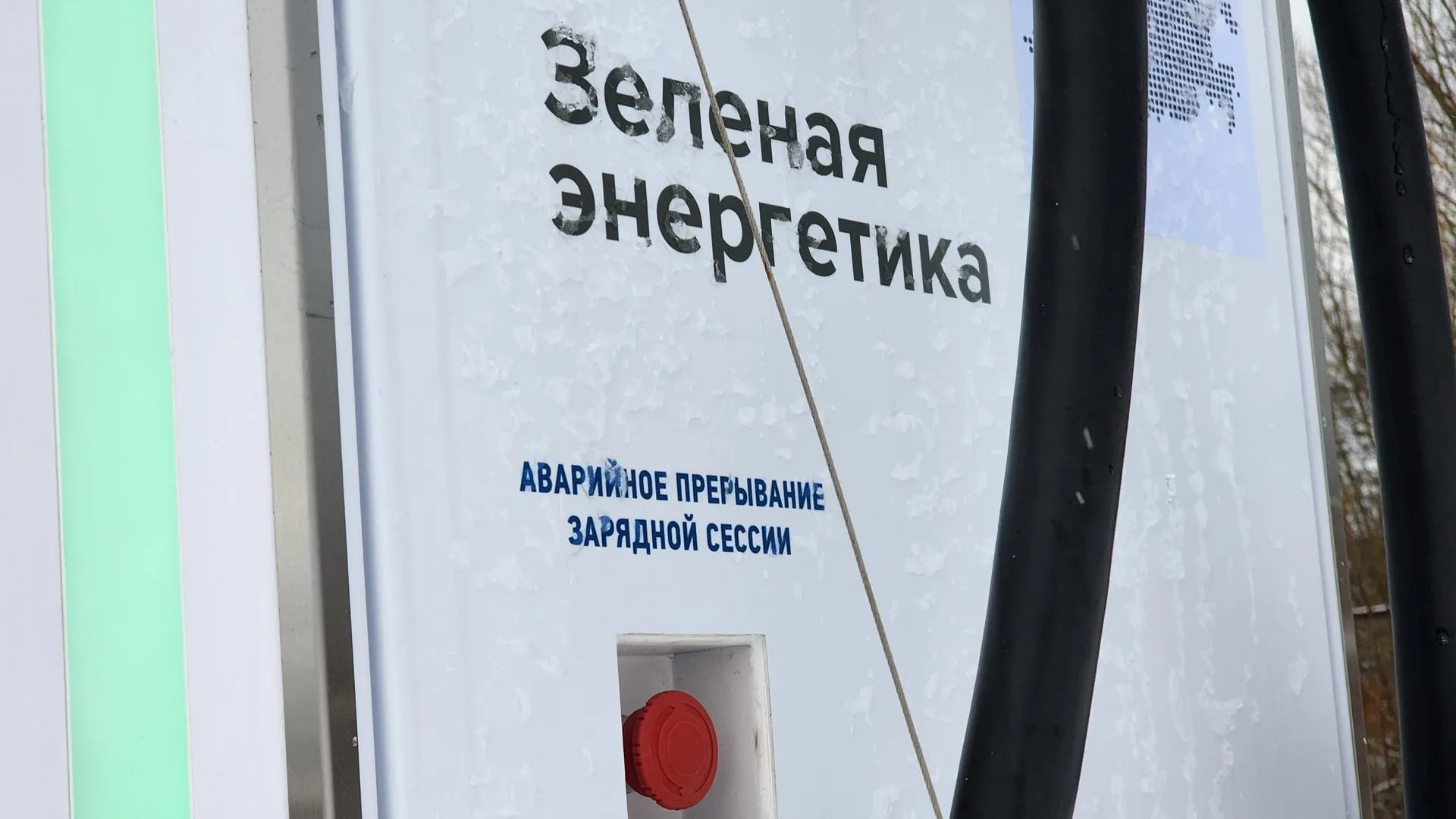 Екатерина Данилина