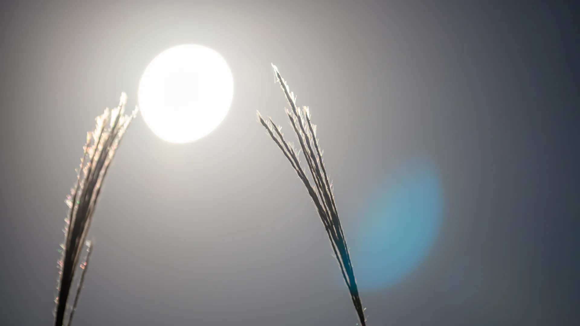 медиасток.рф