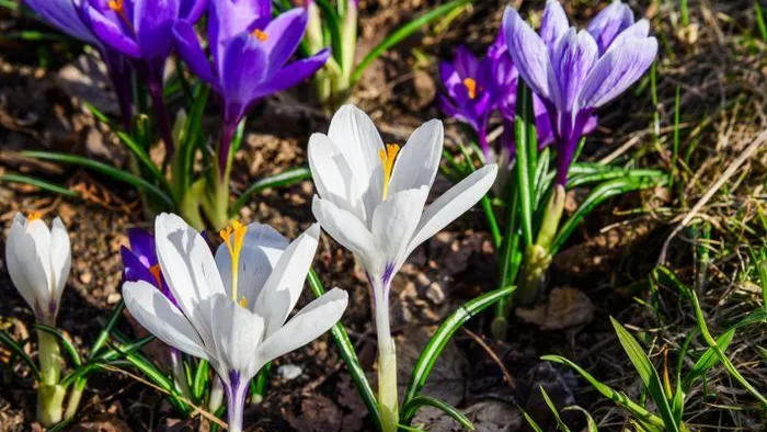 медиасток.рф