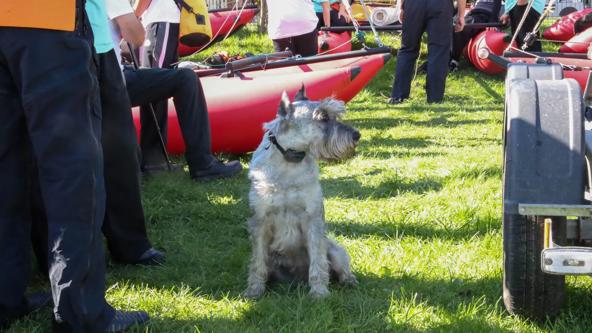 Фото: пресс-служба администрации г.о. Солнечногорск