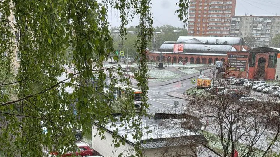 Фото: Кристина Ефремова