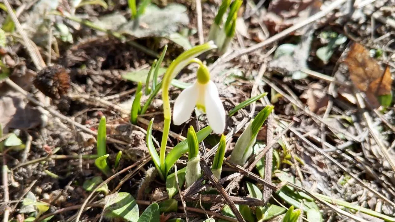 REGIONS/Василий Тремасов