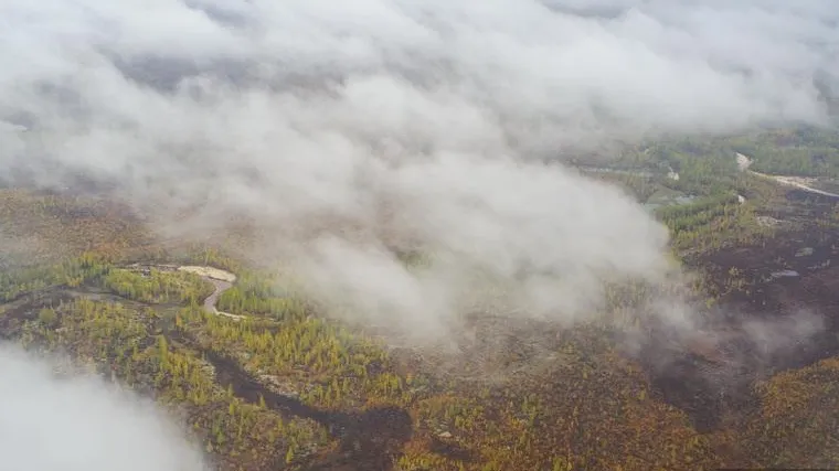 На Ямале девочка пошла в гости и не вернулась
