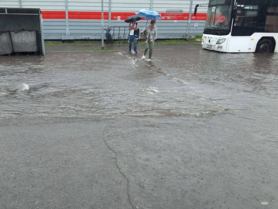 Фото: t.me/dolgopacity