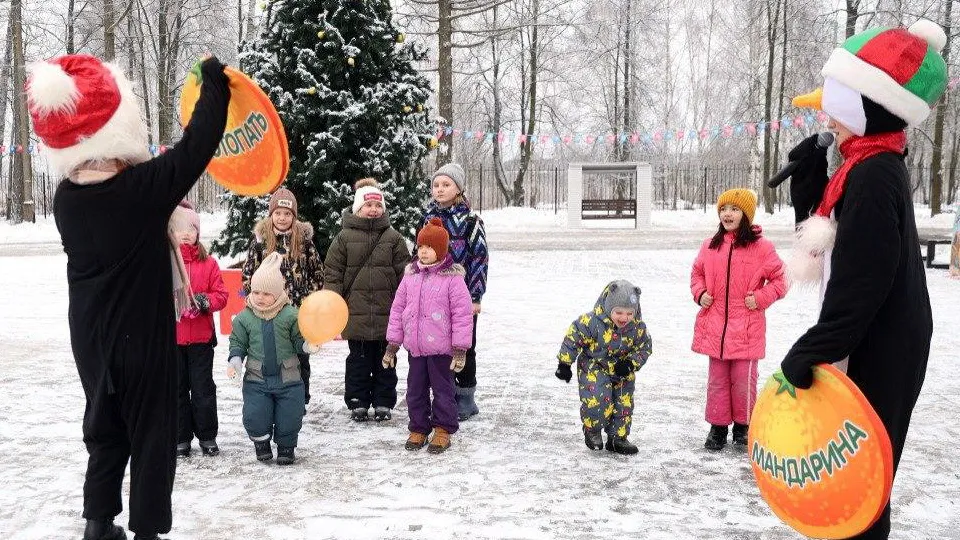 Фото: МАУ «Объединенная дирекция парков Богородского городского округа Московской области»