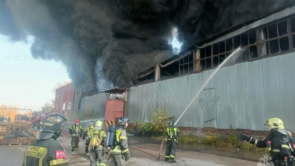 Фото: Главное управление МЧС РФ по Московской области.