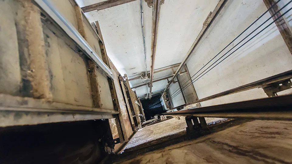 Фото: istockphoto.com/Vladimir Zapletin