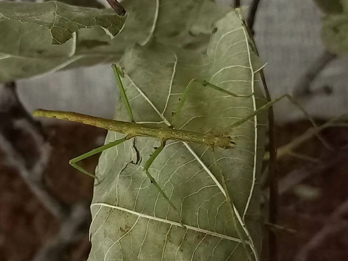 Фото: городская доска объявлений&nbsp;