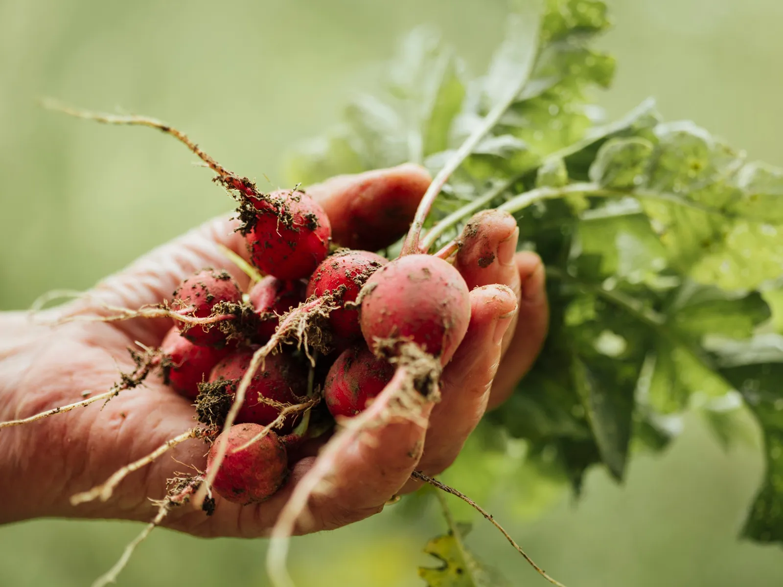 Фото: freepik.com