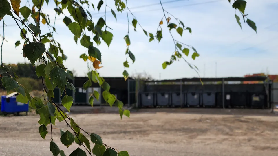 Фото: МедиаБанк Подмосковья/Валентина Максимова