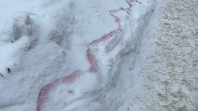 Фото: Валерия Зорина