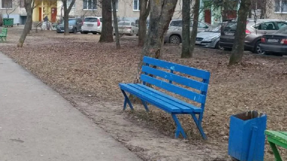 Фото: пресс-служба администрации г.о. Воскресенск