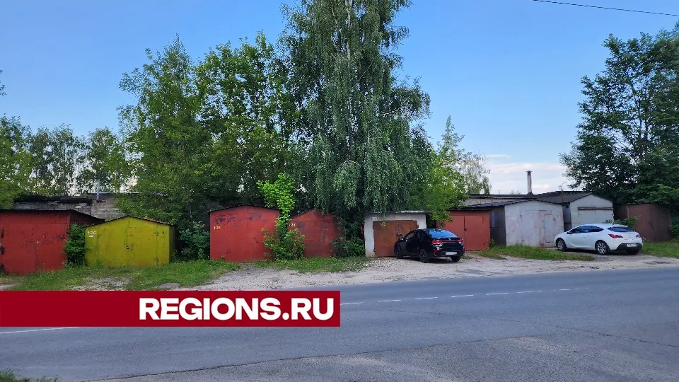 Фото: Дмитрий Алексеенко