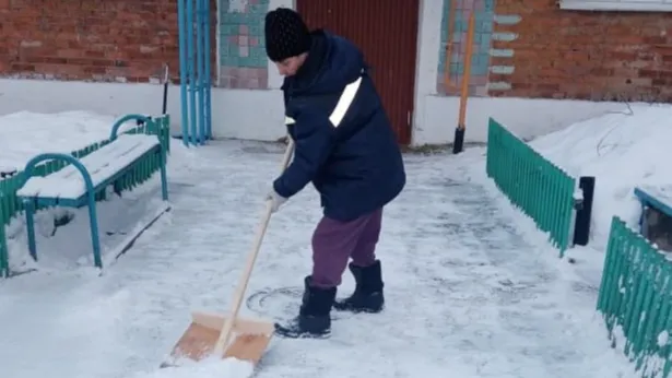 Фото: тг-канал Городской округ Лотошино