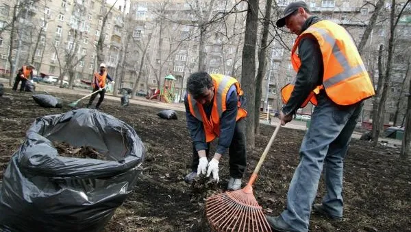 УФАС Подмосковья разобралось в споре из-за аукциона по уборке территорий в Красногорске