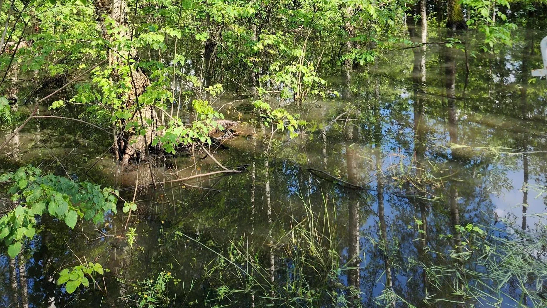 Фото: Нина Басистая