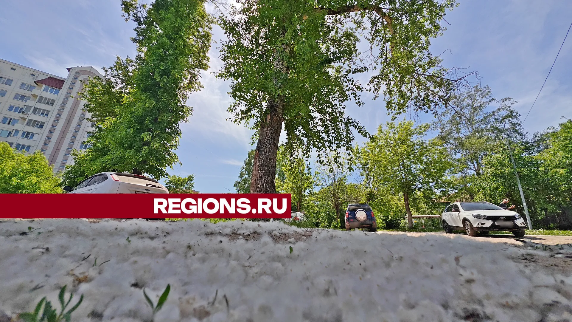 Фото: REGIONS.RU/Алексей Селиверстов