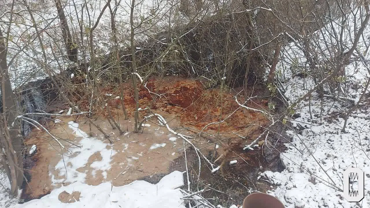 Фото: телеграм-канал «Типичное Пушкино»