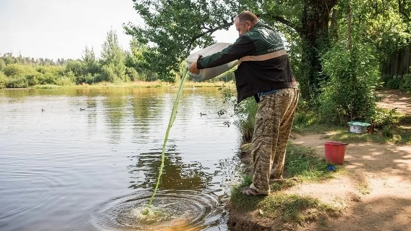 Озеро в Балашихе очистили от токсичных водорослей