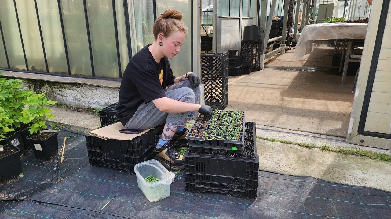 Фото: Ольга Фельдфебелева