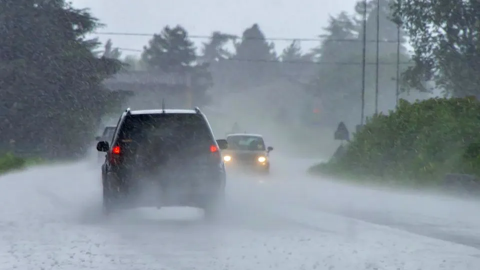 Фото: istockphoto.com/OLENA SAKHATSKA