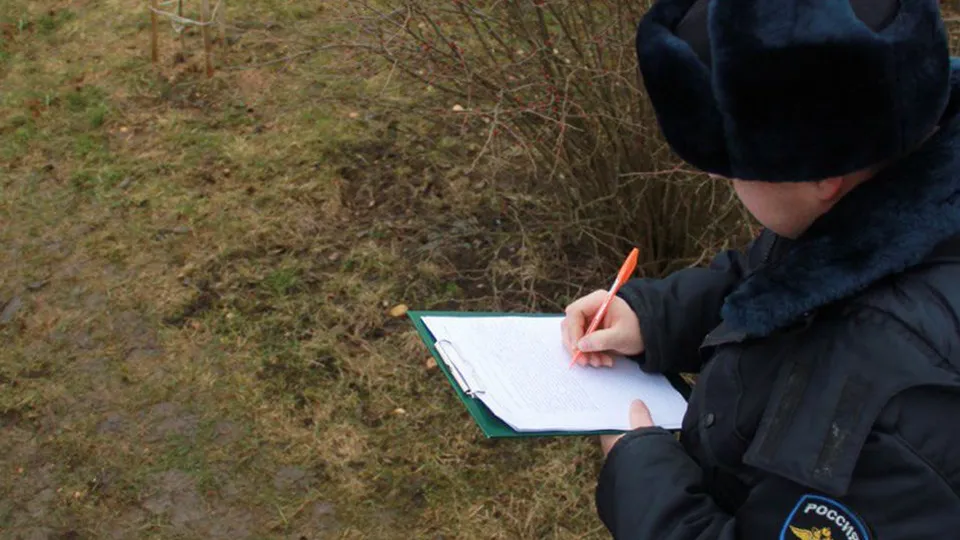 Фото: пресс-служба МВД