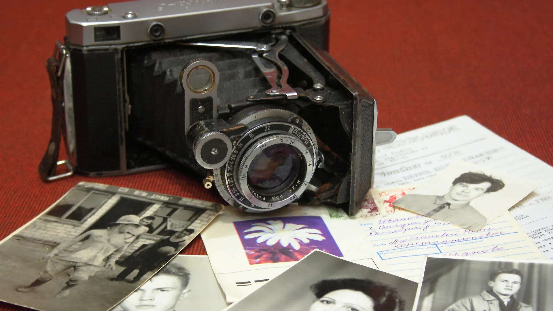 Фото: pxhere.com