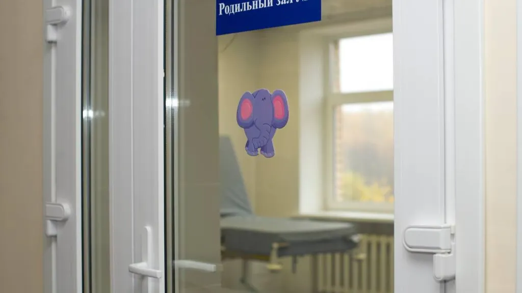 Фото: Ногинская больница