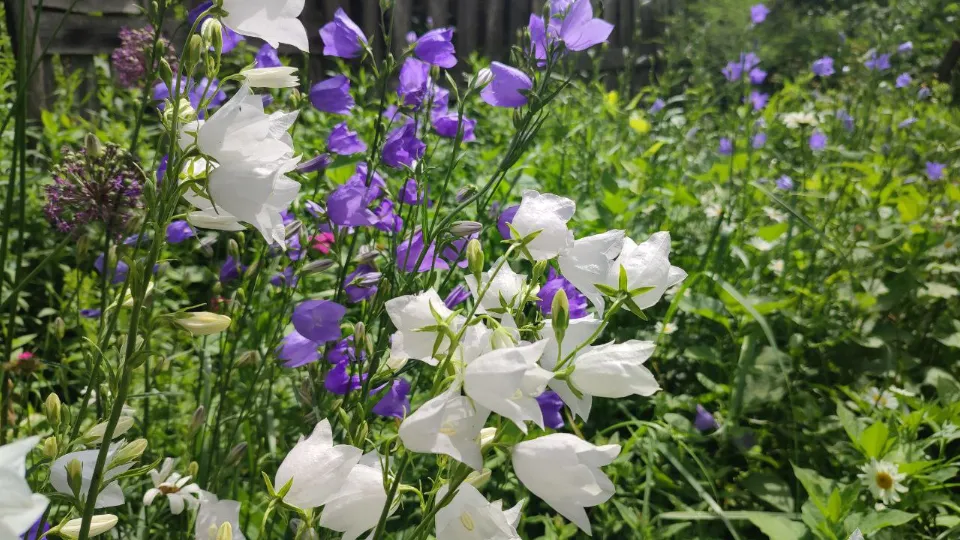 Фото: REGIONS/Елена Забелина