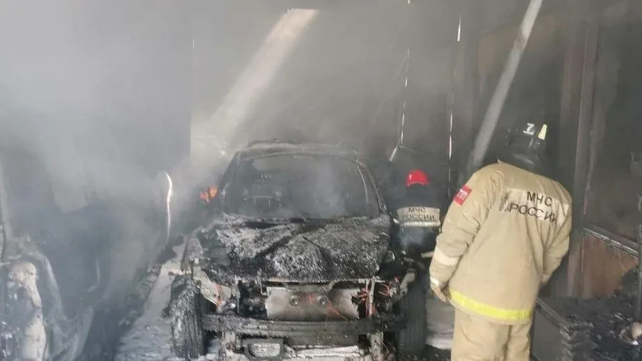 Фото: пресс-служба ГУ МЧС России по МО