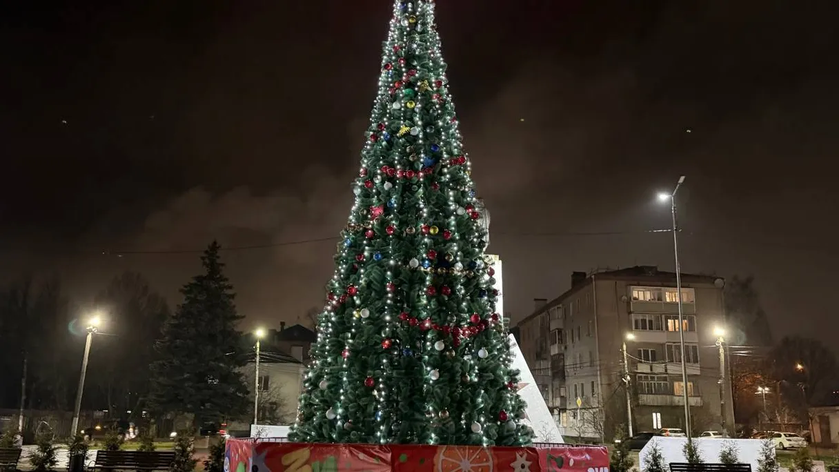 Фото: пресс-служба администрации Наро-Фоминского г.о.