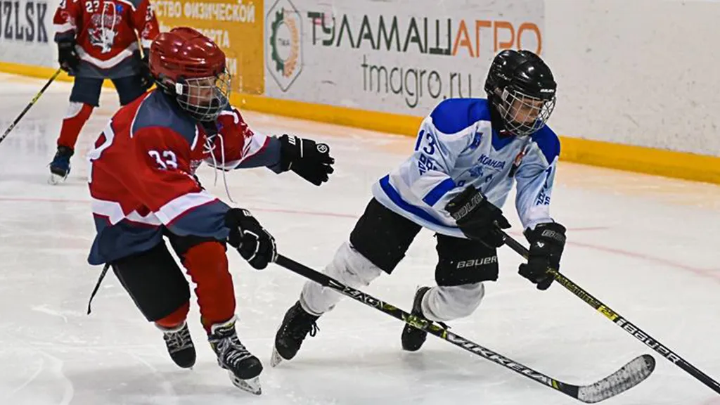 Фото: Зарайский ледовый спортивный комплекс