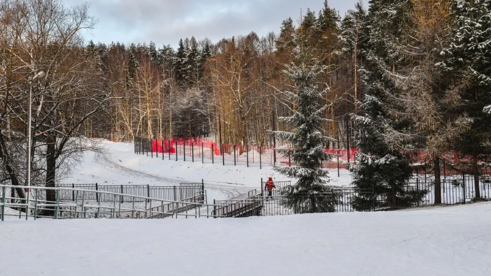 Фото: пресс-служба администрации г.о. Химки