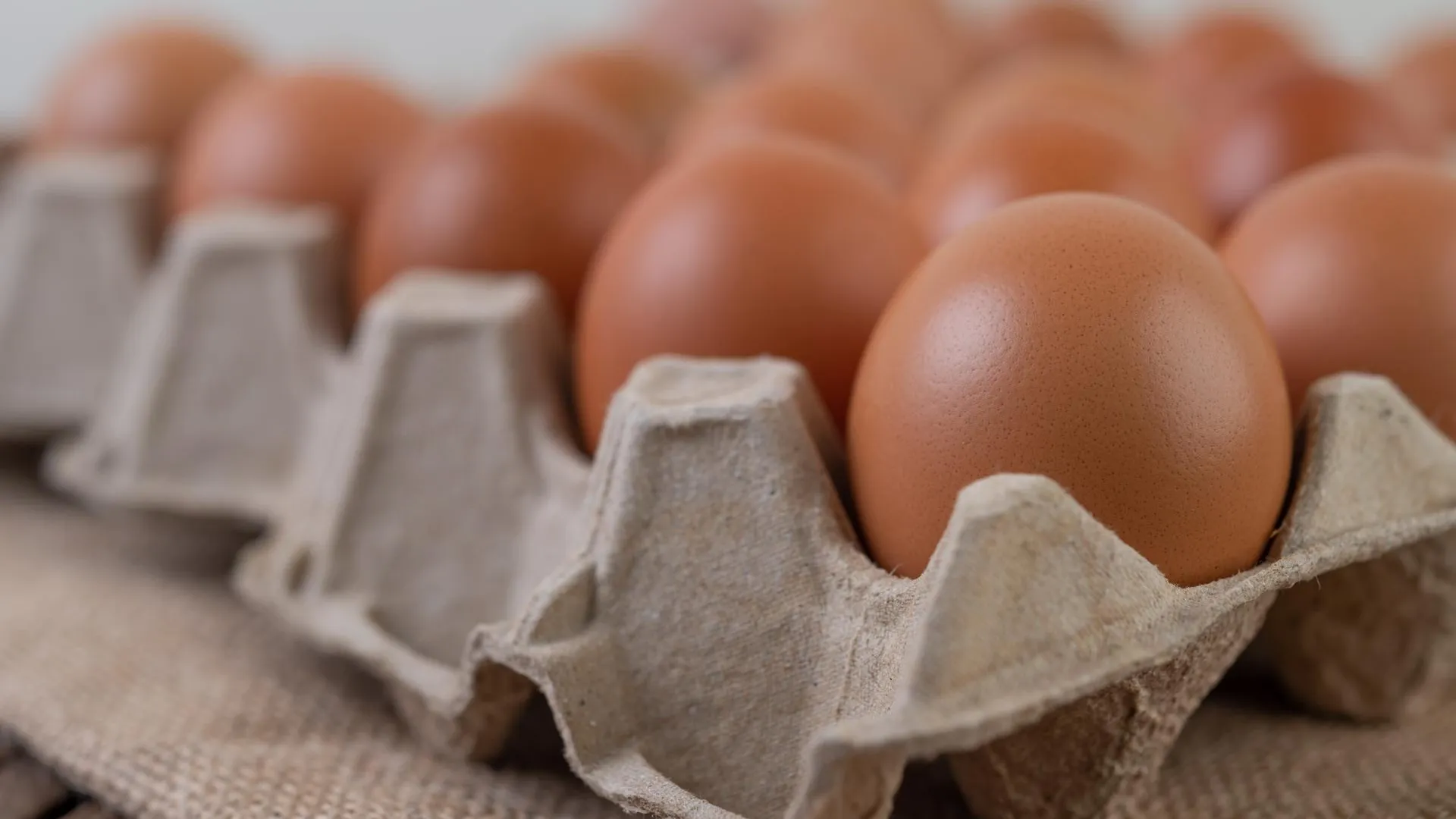 Источник: freepik.com