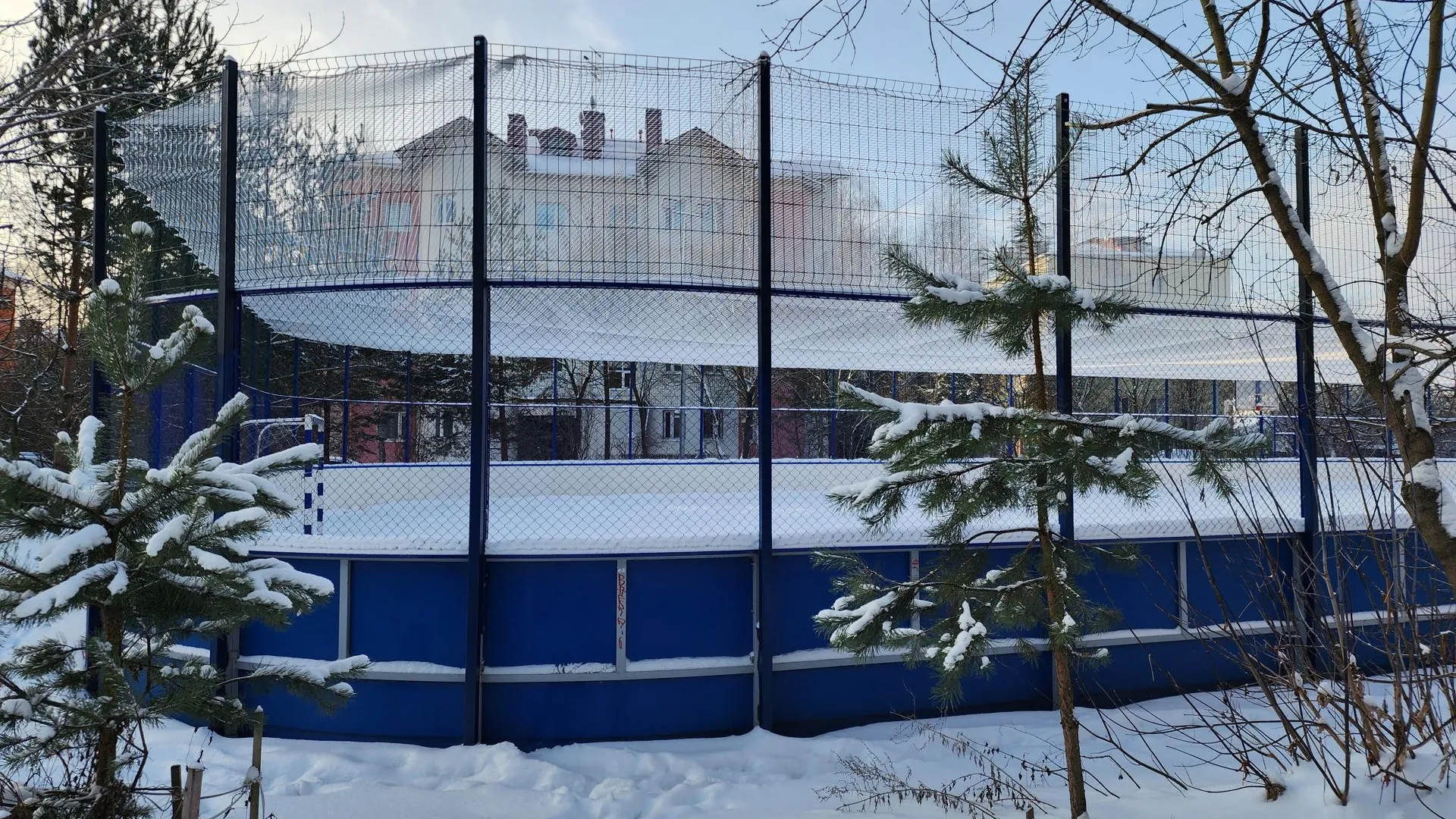 Хавива Фонина