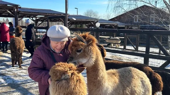Фото: Филиал ДК «Подъячево» Центра культурного развития «Яхромский».