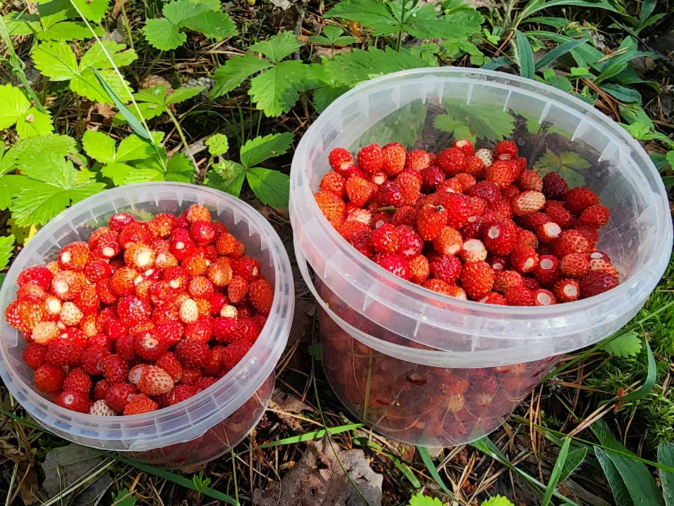 Фото: МедиаБанк Подмосковья/ Михаил Мартыненко