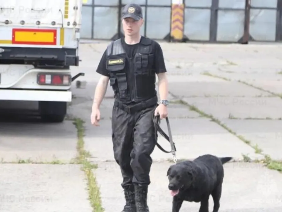 Фото: ГУ МЧС России по Московской области