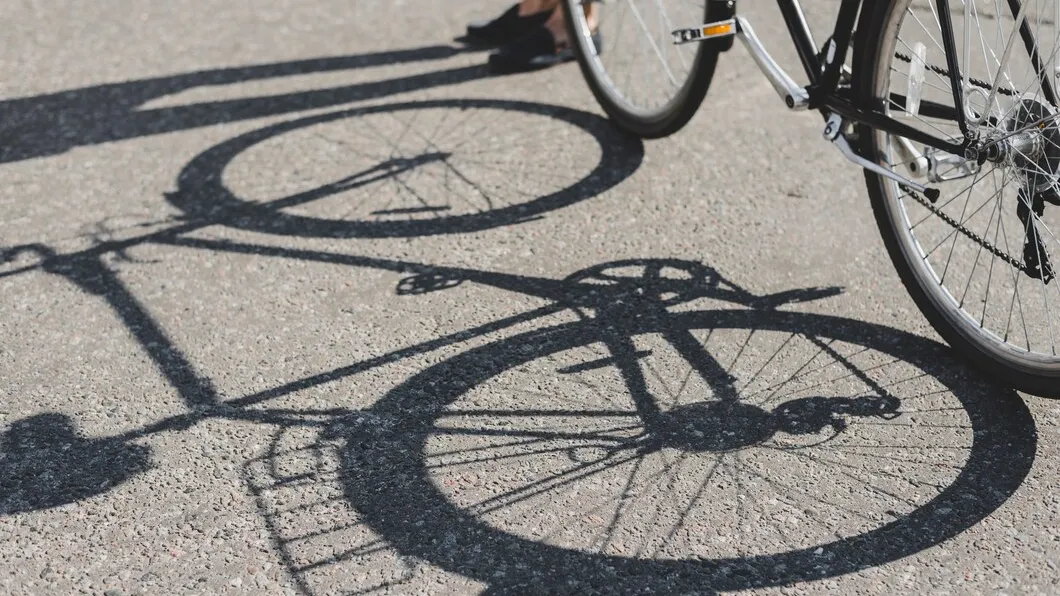 Фото: freepik.com