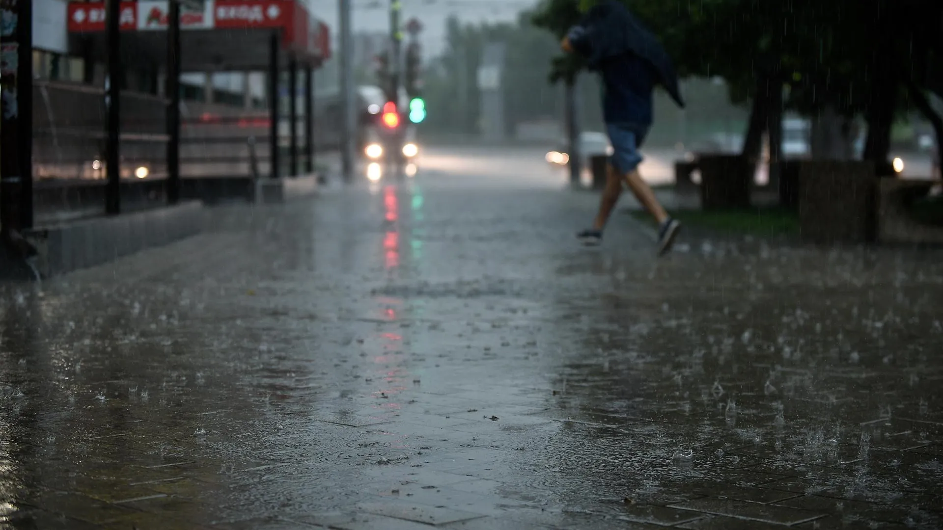 медиасток.рф